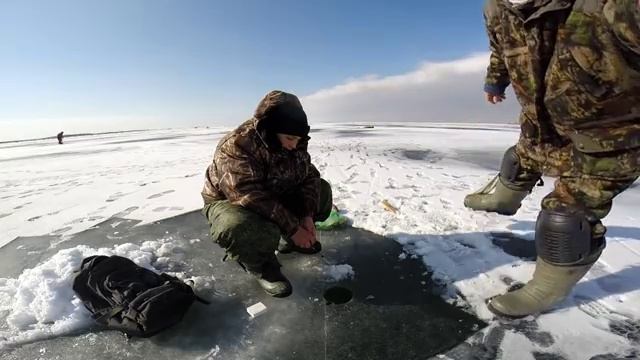 40 кг. карася улов детей и бабушки! Маныч. Дальний. 2017 год. смотреть онлайн