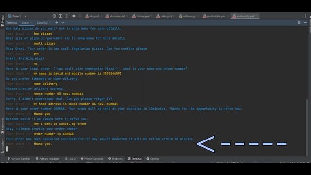 PizzaBot | Rasa AI ChatBot смотреть онлайн