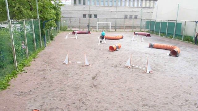 Д0 Small (2 трасса) - Куренкова Татьяна и цвергшнауцер Нитка смотреть онлайн