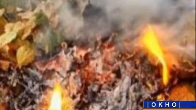 За сжигание листвы грозит штраф смотреть онлайн