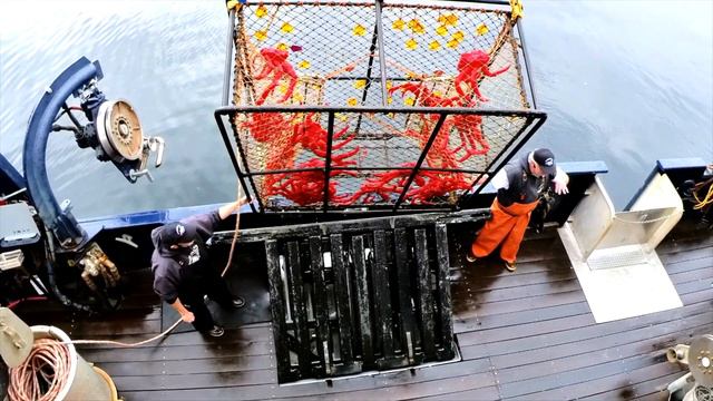 Bering Sea Crab Fisherman’s Tour | My Favorite Excursions... Alaska | Travel Guide and Photography смотреть онлайн