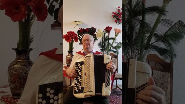 Горькая калина. смотреть онлайн