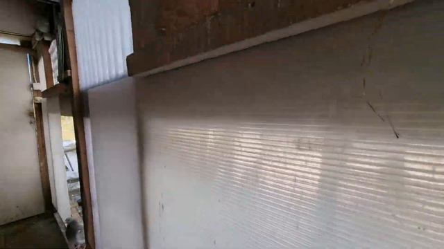 Спортивные голуби Racing pigeons loft Lithuania @ смотреть онлайн