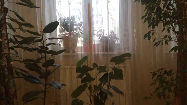 ПОЗДРАВЛЕНИЕ МУСУЛЬМАНАМ!#vlog_by_nika_московские_будни