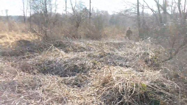 Суперкоп.Голова кабана.Серебро.Поиск монет поместье Фридрихштайн. смотреть онлайн