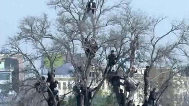 Навруз в Мазари-Шарифе смотреть онлайн