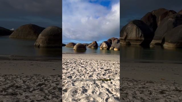 Готовлю кофе на берегу ИНДИЙСКОГО океана! #Australia #Австралия #иммиграция смотреть онлайн