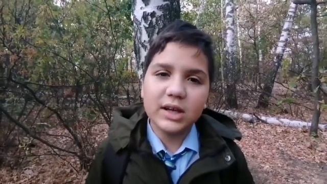 Жиляков Даниил, 11 лет, С. Есенин, Собаке Качалова смотреть онлайн