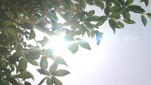 Свадьба Яны и Влада смотреть онлайн