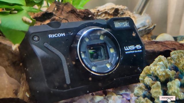 Top 10 Camera For Travel in 2023 (Best Sellers) смотреть онлайн