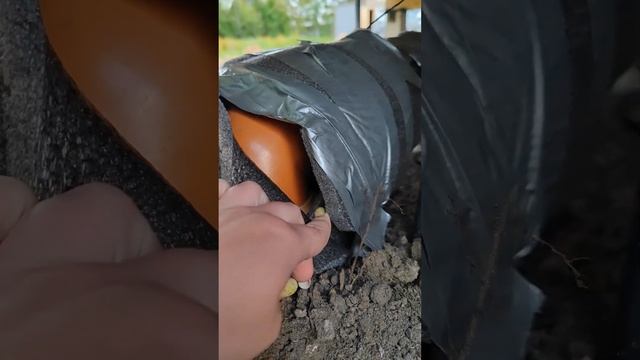 Обратите внимание на это при монтаже канализации #частныйдом #канализация #септик #усадьбабестужевы