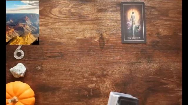 ❤️How They FEEL About YOU RIGHT NOW! ❤️ PICK A CARD Timeless Love Tarot смотреть онлайн