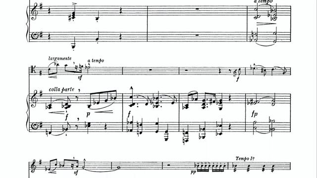 Cello Concerto op. 85 - II. Lento. Allegro molto - E. Elgar [PIANO ACCOMPANIMENT FOR CELLO] смотреть онлайн