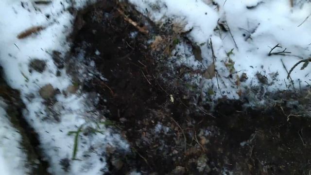 Дедушка хабар стрелял в меня из карабина))) смотреть онлайн