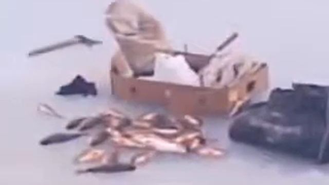 Приколы про зимнюю рыбалку 2014 видео Смотреть прикольное видео про зимнюю рыбалку Прикол про рыбал смотреть онлайн