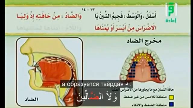 Махрадж буквы ض да. Произношение. Айман Сувейд