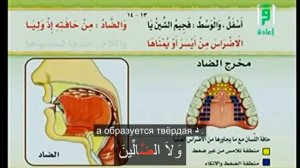 Махрадж буквы ض да. Произношение. Айман Сувейд