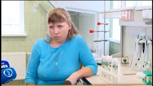 Клонирование картофеля смотреть онлайн
