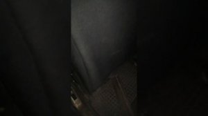 Плафон освещения салона не гаснет