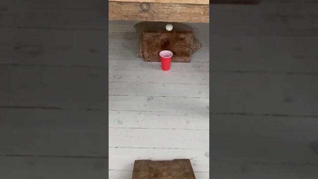 Unexpected Ping pong trickshot смотреть онлайн