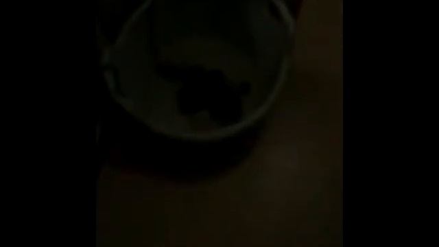 Вызов 1. Денежный гномик смотреть онлайн