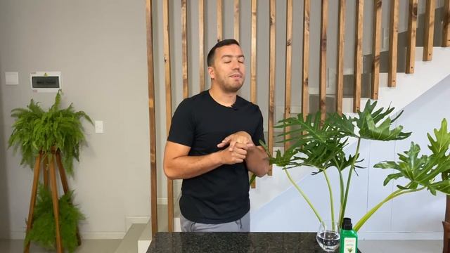 Philodendron Selloum Care Guide смотреть онлайн