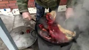 приготовление свиной головы целиком.