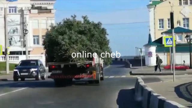 ОC (online cheb) Голубые ели вывозят с Красной площади Чебоксары смотреть онлайн