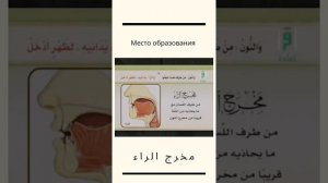 Махрадж ро #буква р. Арабские буквы. Арабский язык. Таджвид для начинающих. راء. الراء. ر.r. Tajwee