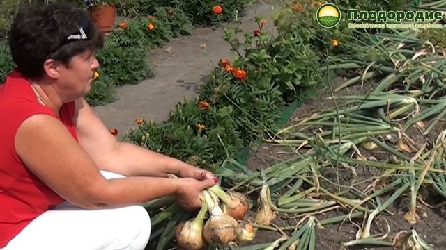 Первые шаги в природном земледелии. В гостях у садовода Татьяны Мальгиной смотреть онлайн