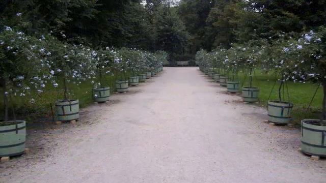 Charlottenburg Palace - Berlin - Germany смотреть онлайн