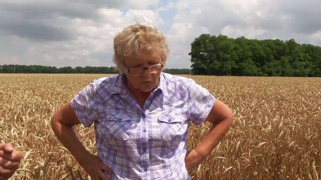 Агротехнология ОРМИСС Отзыв ст Новопокровская смотреть онлайн