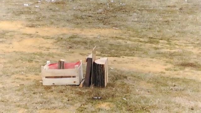 АКМ пробивает ствол дерева 15 см смотреть онлайн