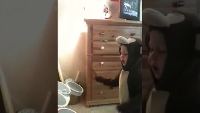Monkey On Drums смотреть онлайн