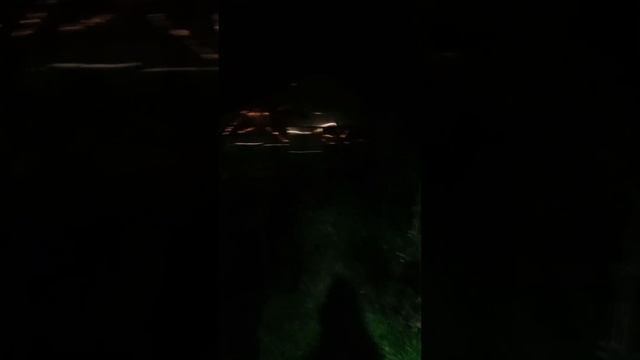 Наш сад. Германия. Темно, но мы не боимся)) смотреть онлайн