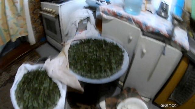 Иван чай через мясорубку - листовой и гранулированный. Зависит ли вкус напитка от времени сбора смотреть онлайн