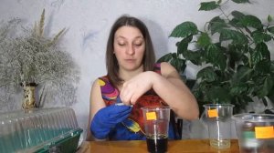 КАК ЗАМАЧИВАТЬ СЕМЕНА ПЕРЦА для быстрой всхожести/СКОЛЬКО И В ЧЕМ ЛУЧШЕ???