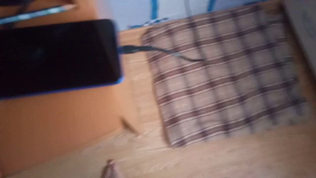 новая игра от Петерочки