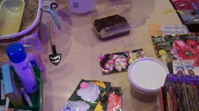 СЕЕМ БЕГОНИИ! КЛУБНЕВАЯ И ВЕЧНОЦВЕТУЩАЯ. В ВЕРМИКУЛИТЕ И КОКОСОВОМ СУБСТРАТЕ. смотреть онлайн