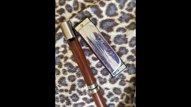 When The Saints Go Marching In - Harmonica and tin whistle смотреть онлайн
