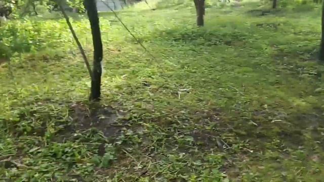 Чертим Радиусы козами смотреть онлайн