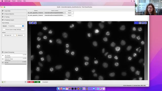 interactive image segmentation with ilastik смотреть онлайн