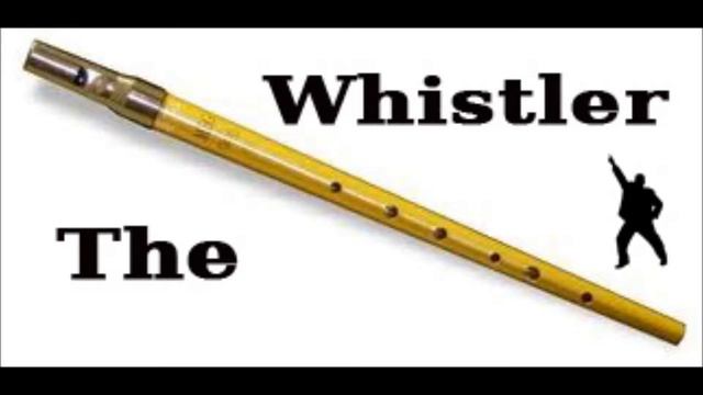 Chelsea Dagger (The Fratellis) - Tin Whistle Cover смотреть онлайн