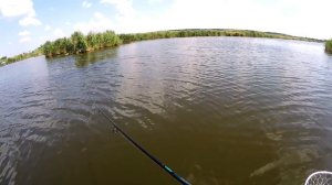 Zemex Bass Addiction NEW 2018 702 MH - Вам понравится)