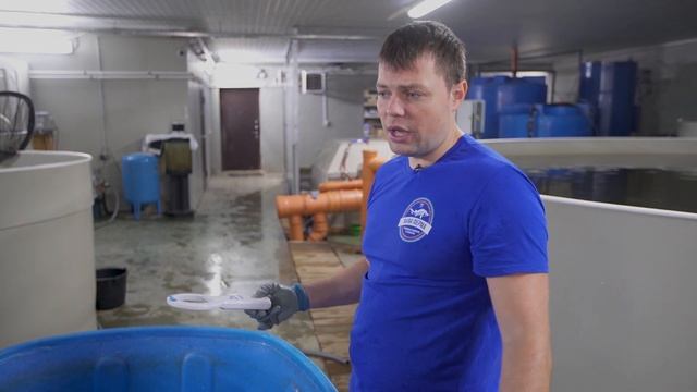 Чипирование маточного стада осетровых смотреть онлайн