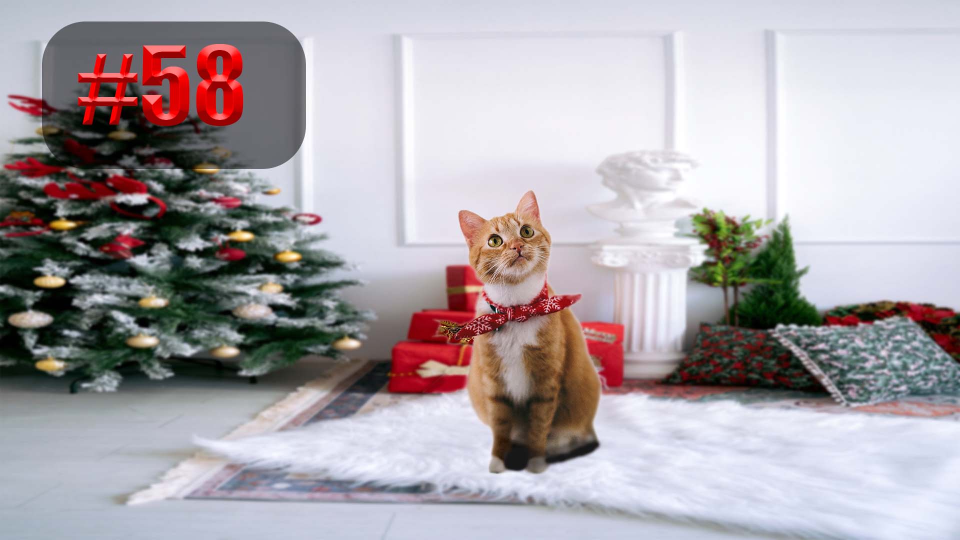 749 секунд Смеха ?? Смешных моментов | Милые котики Приколы с котами ?? Смешные коты #58 смотреть онлайн