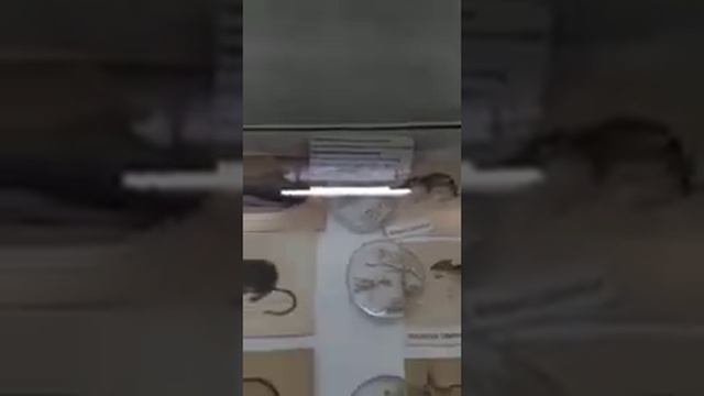 Национальный музей РД им. А. Тахо-Годи запускает онлайн-экскурсии по своим филиалам смотреть онлайн