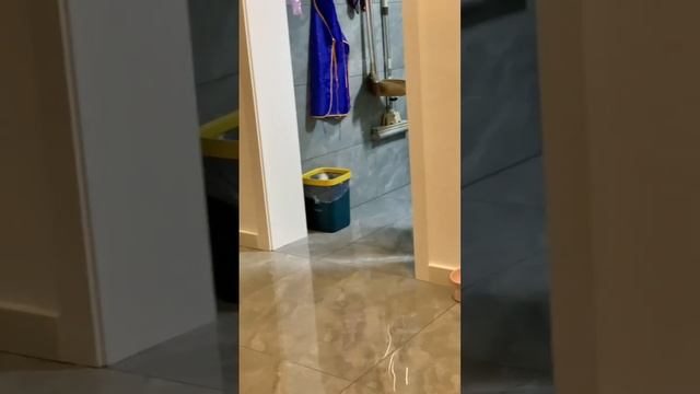 Смешные видео приколы.mp4 смотреть онлайн