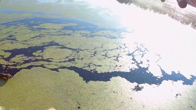 ЗАБЫТОЕ ОЗЕРО РАДУЕТ ПОКЛЁВКАМИ.В этом озере МНОГО ГОЛОДНОГО окуня. Рыбалка на озере. смотреть онлайн
