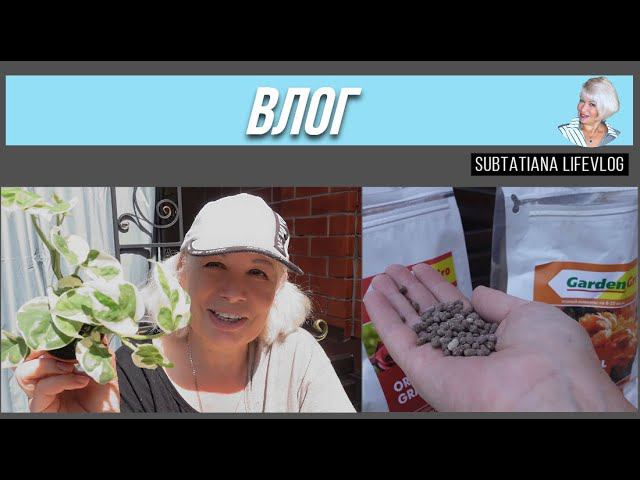 Печальное зрелище в саду/Необычные удобрения/Новые цветы/Обживаю рабочий садовый уголок#subtatiana смотреть онлайн
